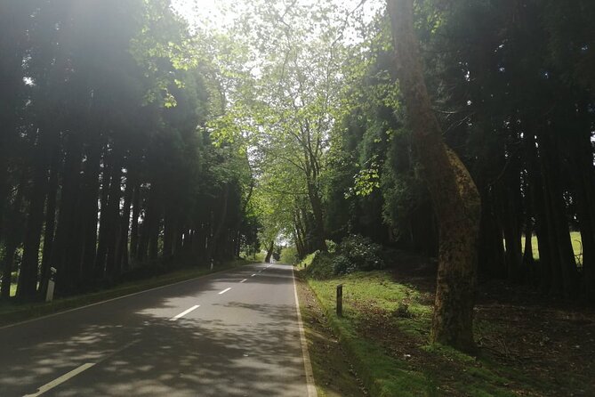 Private Terceira Island Half Day Tour - Itinerary Highlights