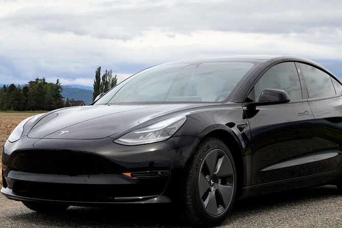 Private Tesla Transfer From Phoenix Airport to All Hotels - Vehicle Details