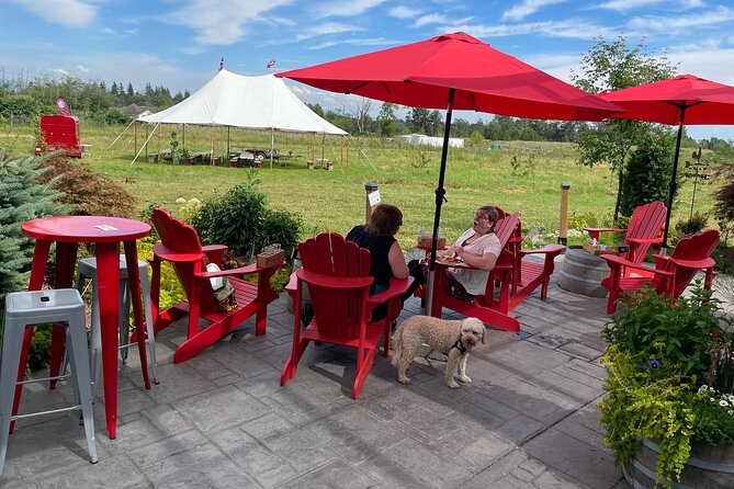 Private Tesla Wine & Cidery Tour & Lunch - Important Tour Details and Information