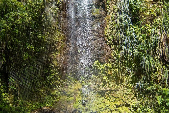 Private Tet Paul Nature Trail/ Mud Baths/ Waterfall - Additional Costs