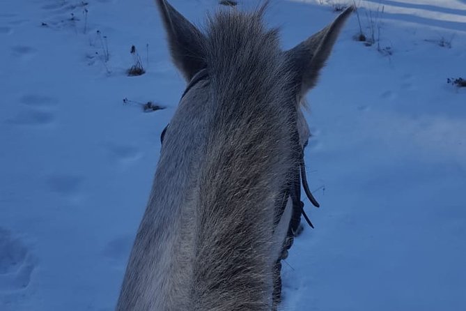 Private Teteven Horse Riding Experience From Sofia With Overnight - Additional Information