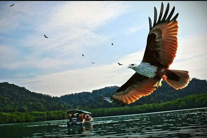 Private Tg Rhu Mangrove Forest Boat Tour With Lunch on A Floating Restaurant - Introduction