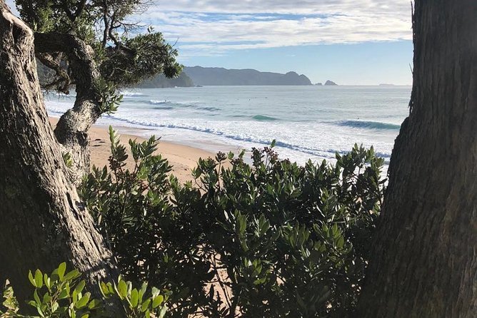 Private The Coromandel Tour - Auckland Tour House - Pickup and Meeting Information