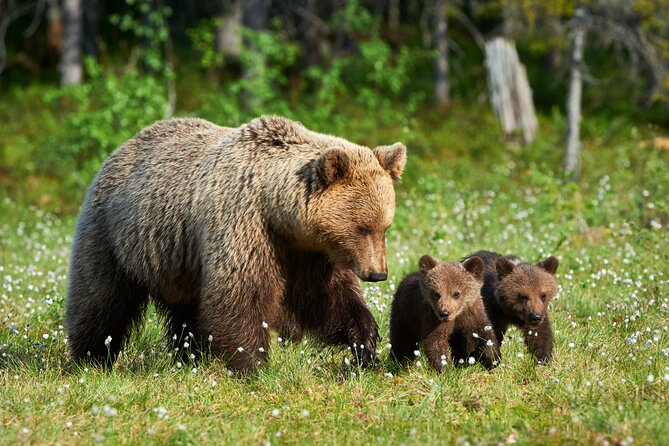 Private Three-Day Tour of Yellowstone & Grand Teton National Parks - Itinerary Overview