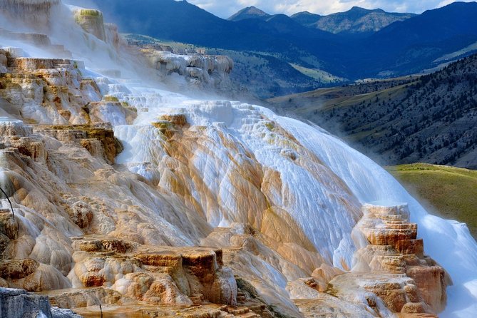 Private Three-Day Tour of Yellowstone & Grand Teton National Parks - Tour Reviews