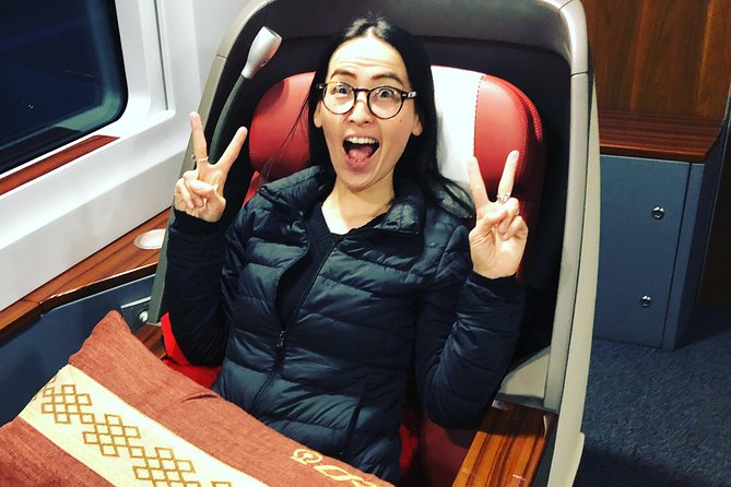 Private Tianjin Port Departure Transfer From Beijing by Bullet Train Experience - Bullet Train Journey From Beijing