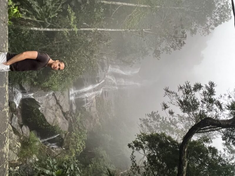Private Tijuca Forest & Botanical Garden Guided Tour - Itinerary