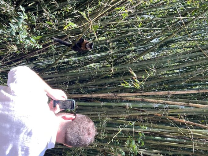 Private Tijuca Forest & Botanical Garden Guided Tour - Tour Duration