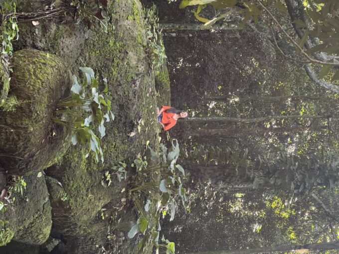 Private Tijuca Forest & Botanical Garden Guided Tour - Tour Languages