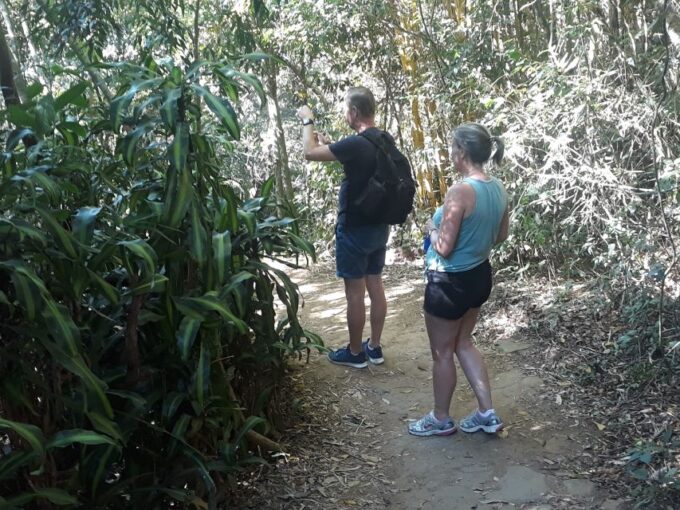 Private Tijuca Forest & Botanical Garden Guided Tour - Frequently Asked Questions