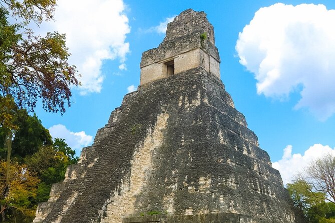 Private Tikal Mayan City Tour With Lunch - Traveler Reviews and Feedback