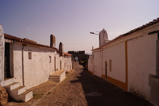 Private Time Traveller Full Day Tour From Évora by Archaeologists - Flexible Lunch Accommodations