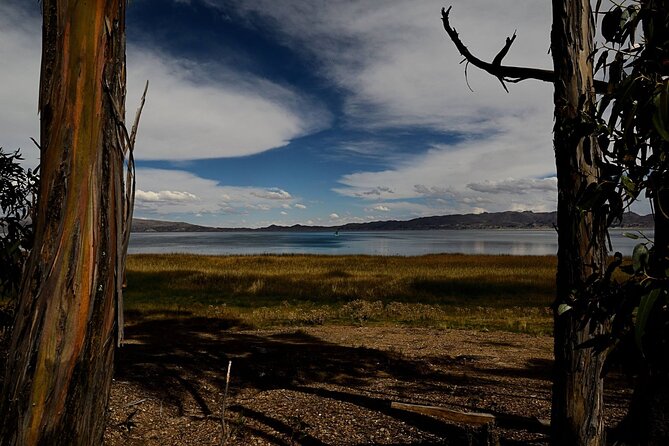 Private Tiwanaku and Titicaca Day Trip From La Paz - Positive Experiences