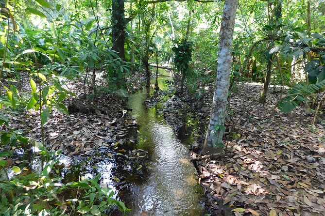 Private to Tayrona Park, Cañaveral Sector, Reefs, Arenilla and Cabo San Juan - Tayrona Park Highlights