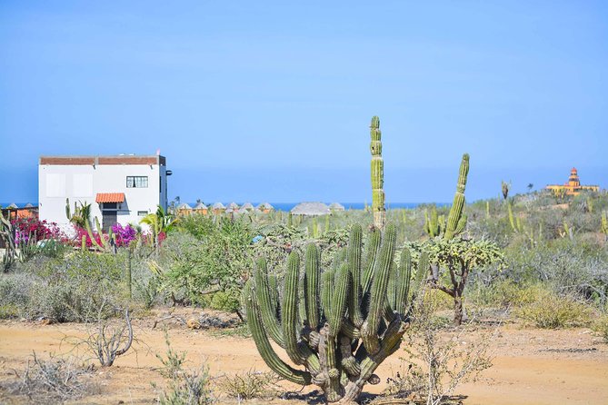 Private Todos Santos Jeep - Key Points