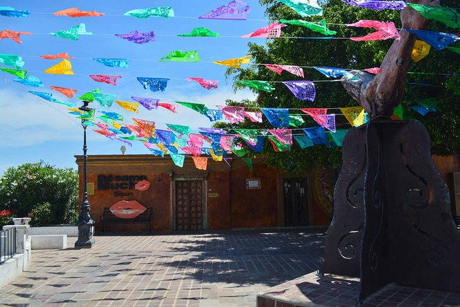 Private Todos Santos Jeep - Requirements and Restrictions