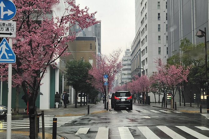Private Tokyo City Day Walking Tour With English Speaking Guide - Key Points