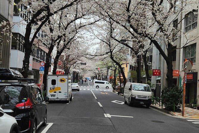Private Tokyo City Day Walking Tour With English Speaking Guide - Cancellation Policy