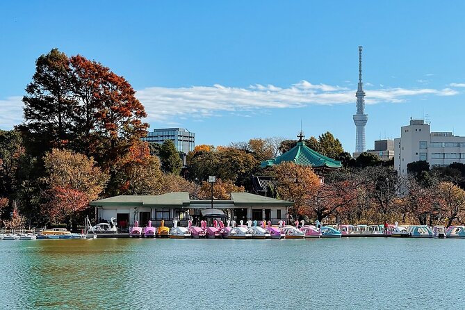 Private Tokyo City Tour With English Speaking Driver - Highlights of the Tour