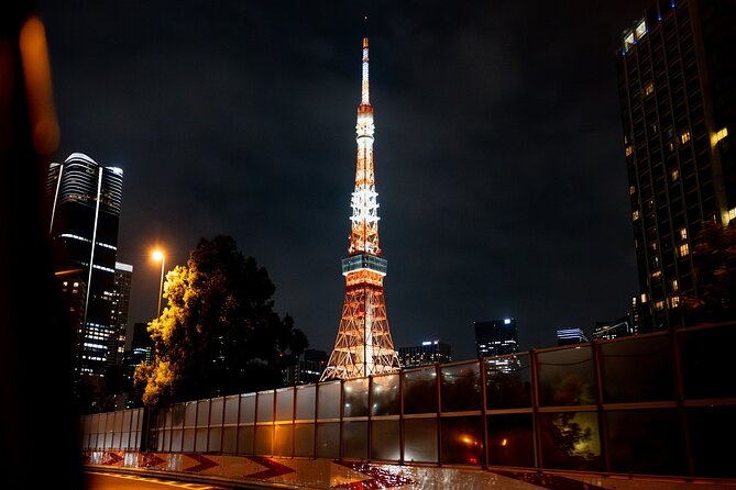 Private Tokyo Culture Tour by Car - Dining Experience