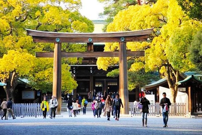 Private Tokyo Custom Half-Day Tour by Chartered Vehicle - Tour Exclusions