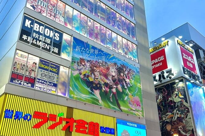 Private Tokyo Full Day Sightseeing Tour With Daily Chauffeur - Key Points