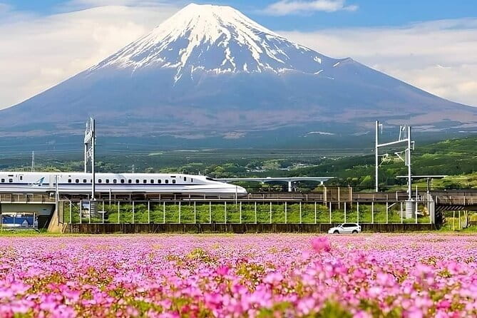 Private Tokyo Full Day Sightseeing Tour With Daily Chauffeur - Customizing Your Experience
