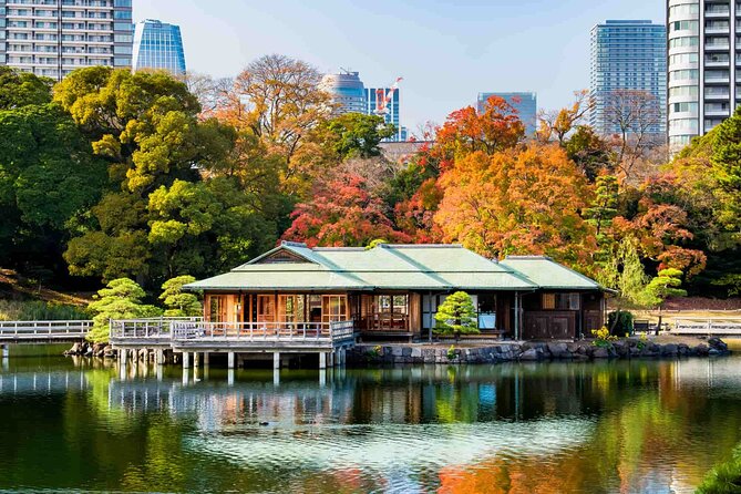 Private Tokyo Night Tour With English Speaking Driver - Key Points