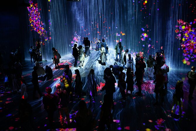 Private Tokyo Night Tour With English Speaking Driver - Highlights of the Private Tokyo Night Tour