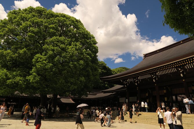 Private Tokyo Tour by Subway W/Licensed English-Speaking Guide - Accessibility and Physical Requirements