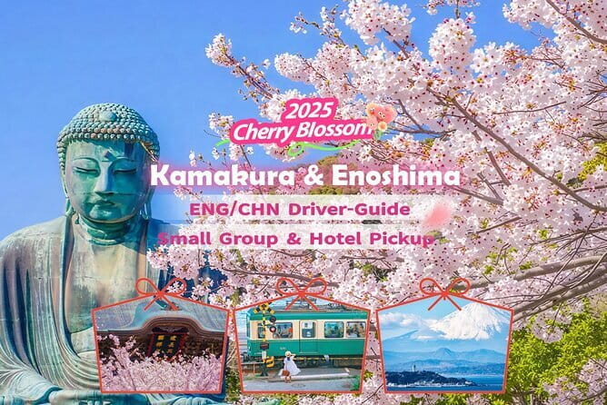 Private Tokyo Tour With Local Guide - Knowledgeable and Flexible Guides