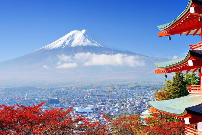 Private Tokyo Tour With Local Guide - Exploring Hidden Gems and Local Cuisine