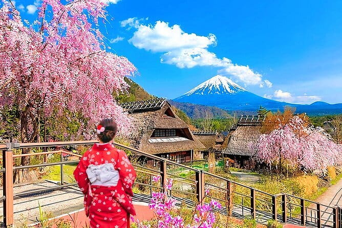 Private Tokyo Tour With Local Guide - Traveler Reviews and Feedback