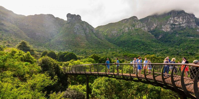 Private Top Award-Winning Cape Wine Tasting Full Day Tour - Free Cancellation and Reservation
