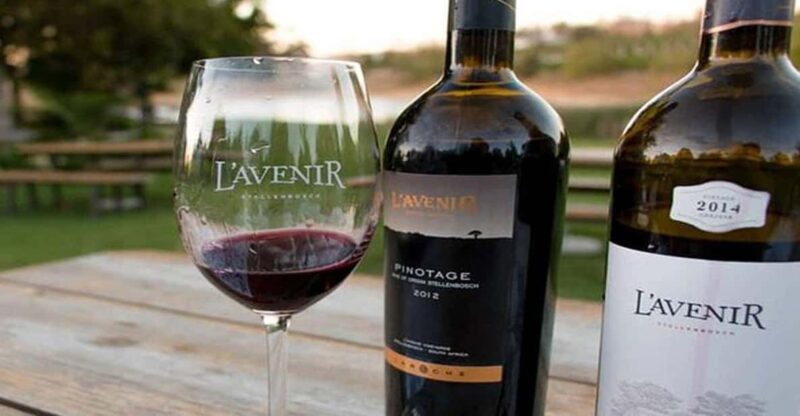 Private Top Award-Winning Cape Wine Tasting Full Day Tour - Wine Experience