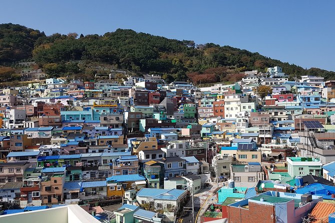 Private Tour, 1DAY Busan City Tour by KTX From Seoul - Itinerary Highlights