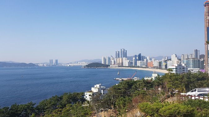 Private Tour, 1DAY Busan City Tour by KTX From Seoul - Customer Experiences