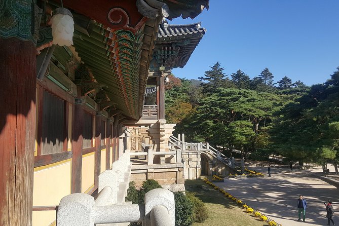Private Tour, 1DAY Gyeongju City Tour by KTX From Seoul-World Heritage Site - Transportation and Logistics