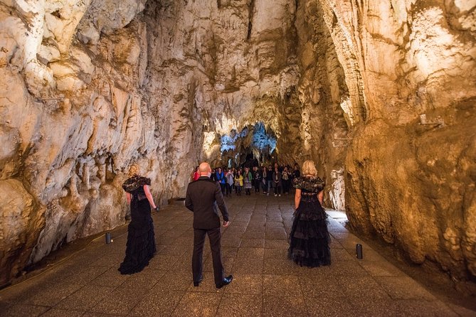 Private Tour [2 Days]: Auckland to Waitomo Caves, Rotorua, Te Puia & Wai-O-Tapu - Te Puia Cultural Experience