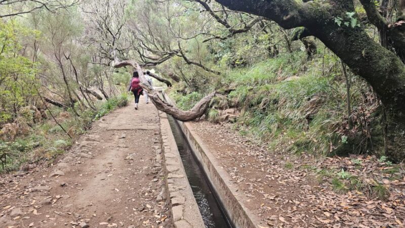 Private Tour : 25 Fontes Levada Hike - Key Points