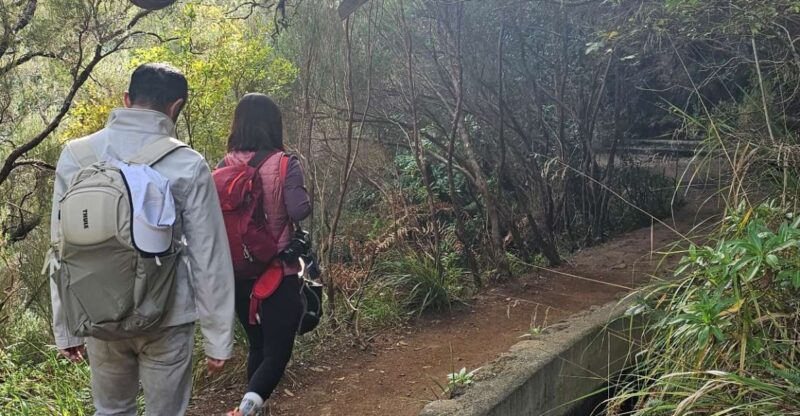 Private Tour : 25 Fontes Levada Hike - Itinerary and Experience