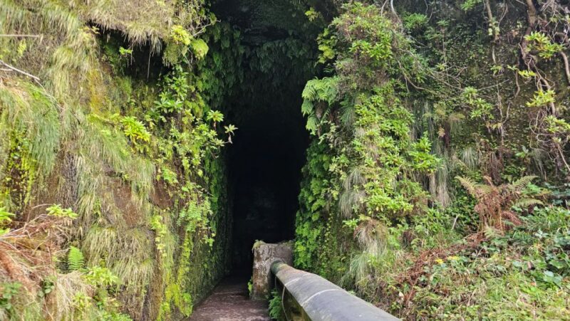 Private Tour : 25 Fontes Levada Hike - Highlights