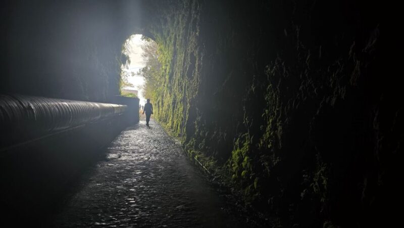Private Tour : 25 Fontes Levada Hike - Guided Tour Benefits