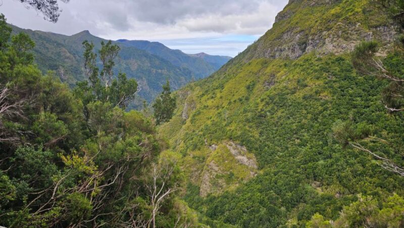 Private Tour : 25 Fontes Levada Hike - Inclusions