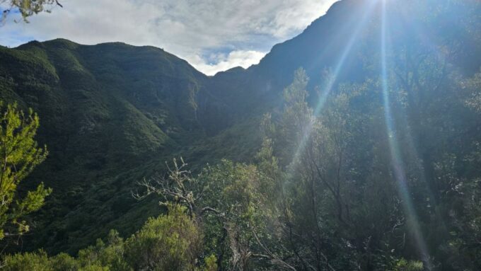 Private Tour : 25 Fontes Levada Hike - Pickup Location