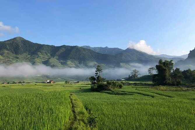 Private Tour - 3D2N Rice Terraces Treks in Mu Cang Chai - Day 2 Trekking