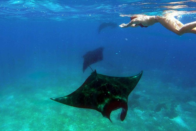 Private Tour 4 Days 3 Nights Komodo on Boat, Waterfall and Rangko Cave - Inclusions and Exclusions