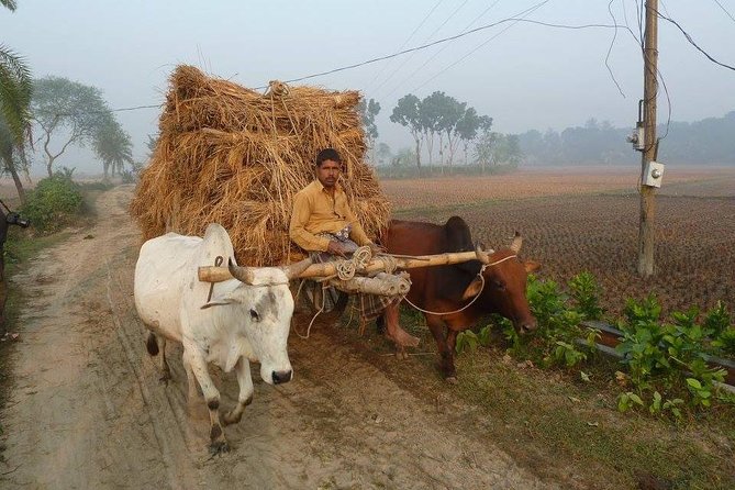 Private Tour: 4 Days - Bangladesh Life & Cultural Tour - The Ganges Delta Life - Health and Accessibility