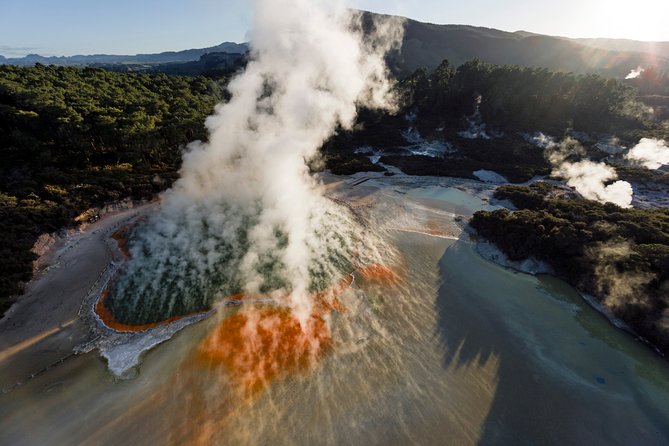 Private Tour [4 Days]: Waitomo Caves, Hobbiton, Rotorua, Hells Gate & Wai-O-Tapu - Health and Safety Guidelines