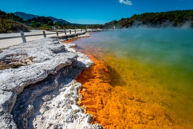 Private Tour [4 Days]: Waitomo Caves, Hobbiton, Rotorua, Hells Gate & Wai-O-Tapu - Waitomo Glow Worm Caves